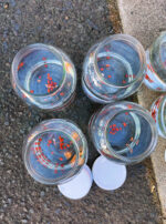 Mars-Jupiter Kolonia