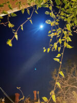 55A69400-3888-450C-B194-63E4570100DE