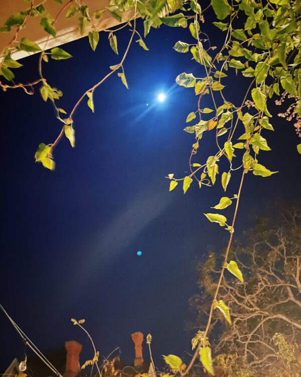 55A69400-3888-450C-B194-63E4570100DE 55A69400-3888-450C-B194-63E4570100DE