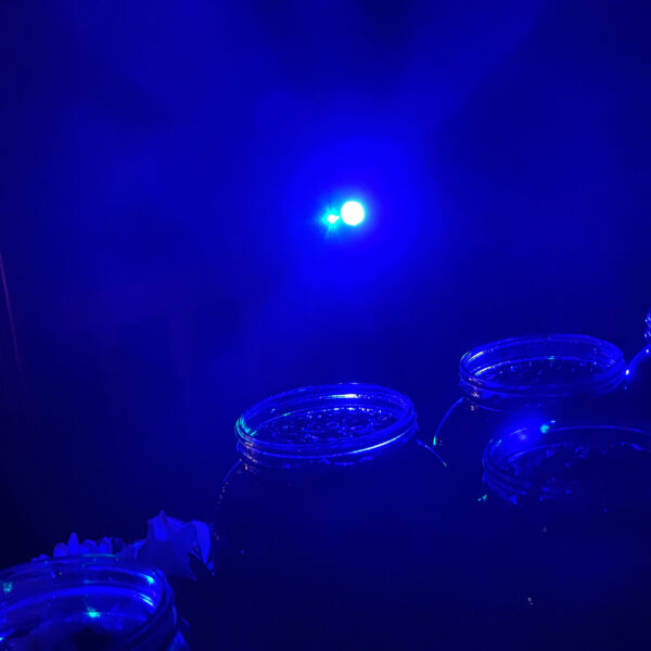 90439918-1E34-4C92-B508-4067FD66136E 90439918-1E34-4C92-B508-4067FD66136E