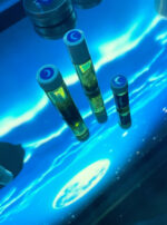 Exalted Luna Anointing Oils Moon