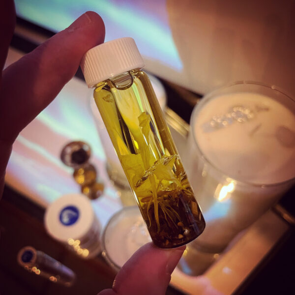 Exalted Luna Anointing Oils Exalted Luna Anointing Oils