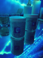 Exalted Luna Bath Salts Main