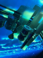 Exalted Luna Incense Candles