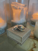 E6F6A118-18A1-4E41-8AE7-DF912627F192