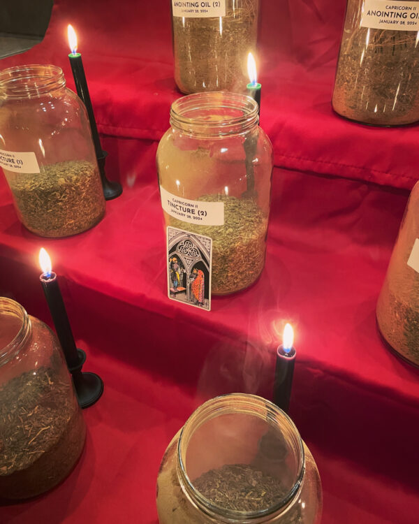 Capricorn Decan II Creation Tarot Card Capricorn Decan II Creation Tarot Card