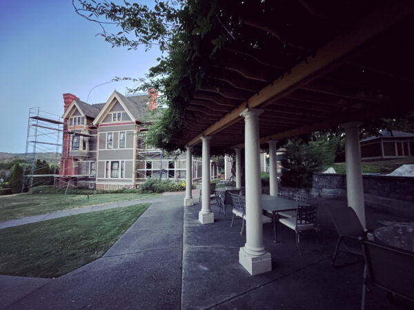 Capricorn Decan II Wisteria Canopy Capricorn Decan II Wisteria Canopy