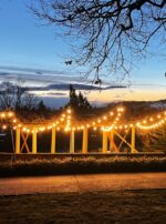 Capricorn Decan II Wisteria Canopy Sticks