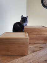 Altar Box Set Sphere and Sundry