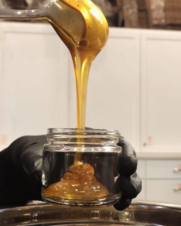 CEED290A-4383-47F2-A4BD-9E45C393AE60 CEED290A-4383-47F2-A4BD-9E45C393AE60