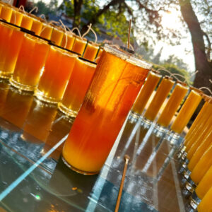 Golden Sol II Candles