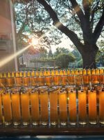 Golden Sol Sun in Leo Sphere and Sundry Candles Sun