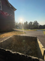 Golden Sol Sun in Leo Sphere and Sundry Herbs