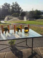 Golden Sol Sun in Leo Sphere and Sundry Sprinklers Water