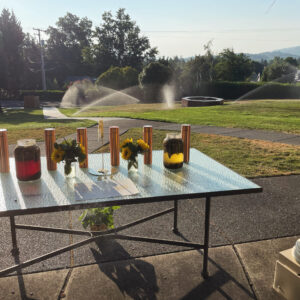 Water of Golden Sol II