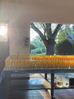 Golden Sol Sun in Leo Sphere and Sundry Sun Candles