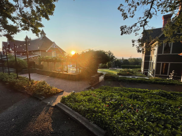 Golden Sol Sun in Leo Sphere and Sundry Sun house water Golden Sol Sun in Leo Sphere and Sundry Sun house water