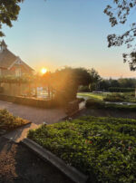 Golden Sol Sun in Leo Sphere and Sundry Sun house water