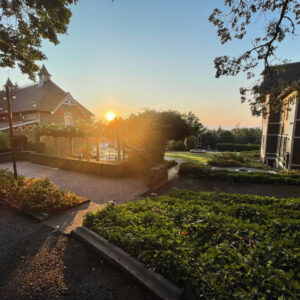 Golden Sol II Kolonía