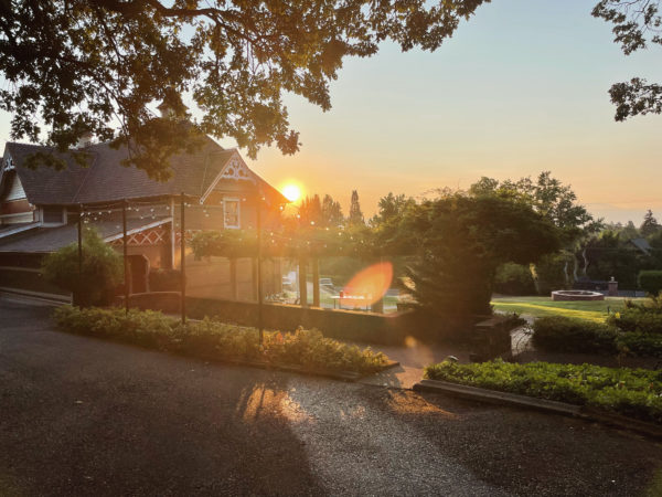 Golden Sol Sun in Leo Sphere and Sundry Sunrise Working Water Golden Sol Sun in Leo Sphere and Sundry Sunrise Working Water