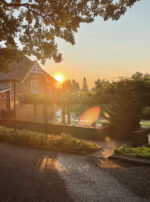 Golden Sol Sun in Leo Sphere and Sundry Sunrise Working Water