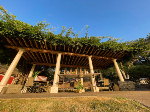 Golden Sol Sun in Leo Sphere and Sundry Wisteria Altar Main