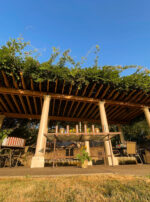 Golden Sol Sun in Leo Sphere and Sundry Wisteria Altar Main