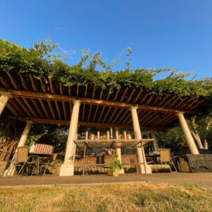 Golden Sol II Attuning Tincture