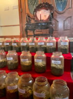 Capricorn III Smoke Main