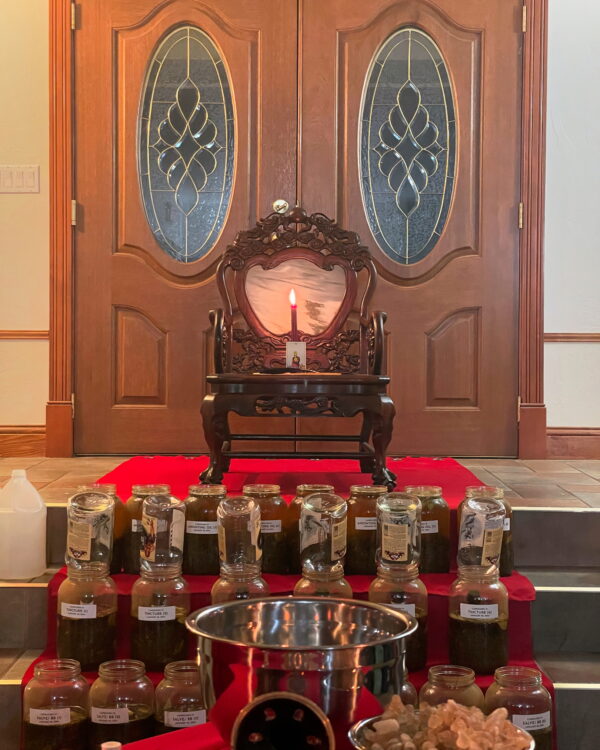 Capricorn III Throne Main Center Capricorn III Throne Main Center