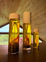 3DB39124-73E7-4F90-9737-E05C404A68E4