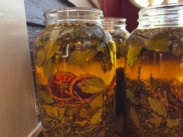 Anointing Oil 2 Golden Titan Anointing Oil 2 Golden Titan