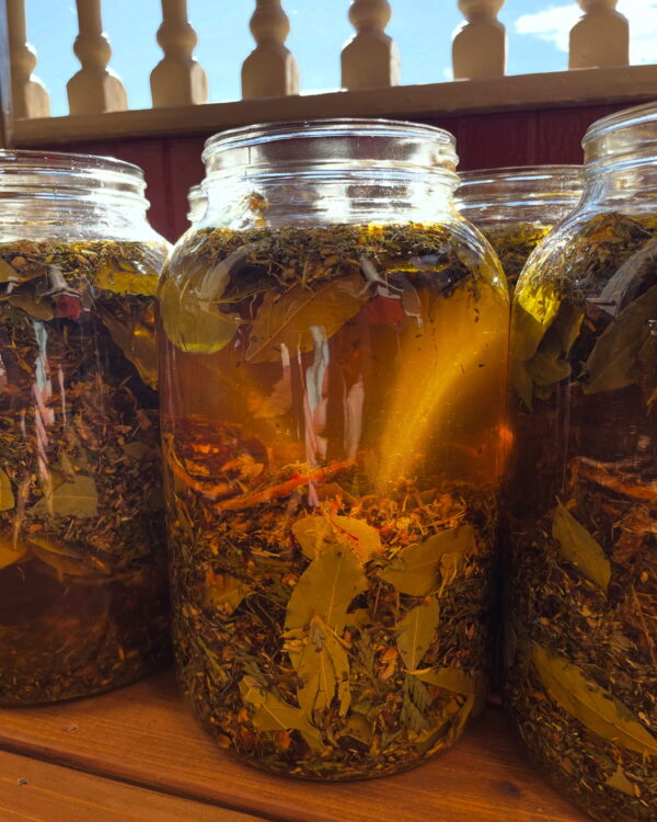 Anointing Oils Golden Titan Anointing Oils Golden Titan