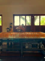 Candles Pouring Jaime Reyna Golden Titan