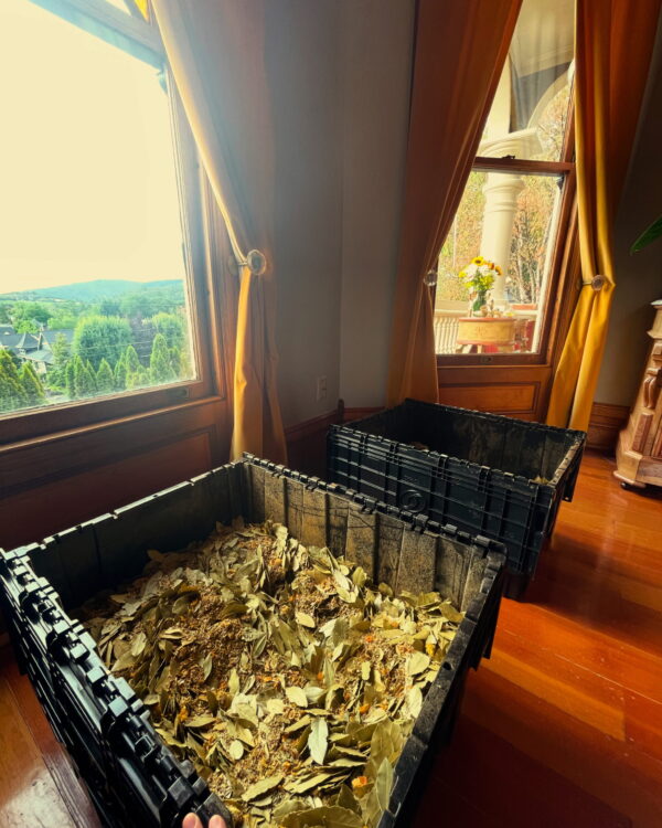 Golden Titan Incense Powder