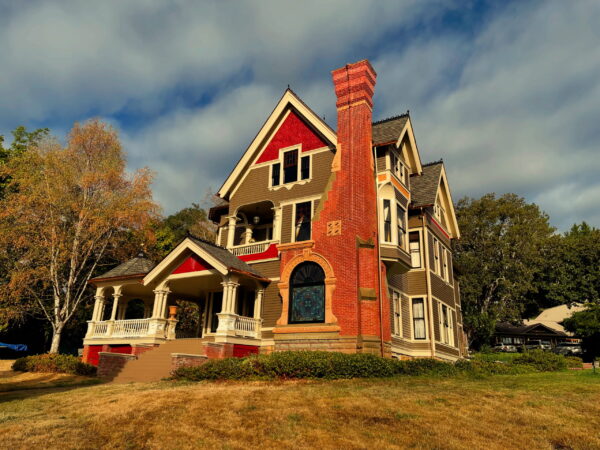 House Brown Lawn Golden Titan House Brown Lawn Golden Titan