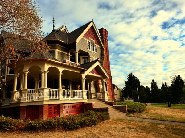 House Dead Lawn Dead Tree Golden Titan House Dead Lawn Dead Tree Golden Titan