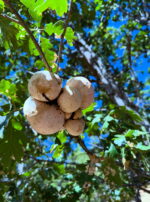 2648F91A-FEA4-4F54-BF2F-DEA5D3369CF9