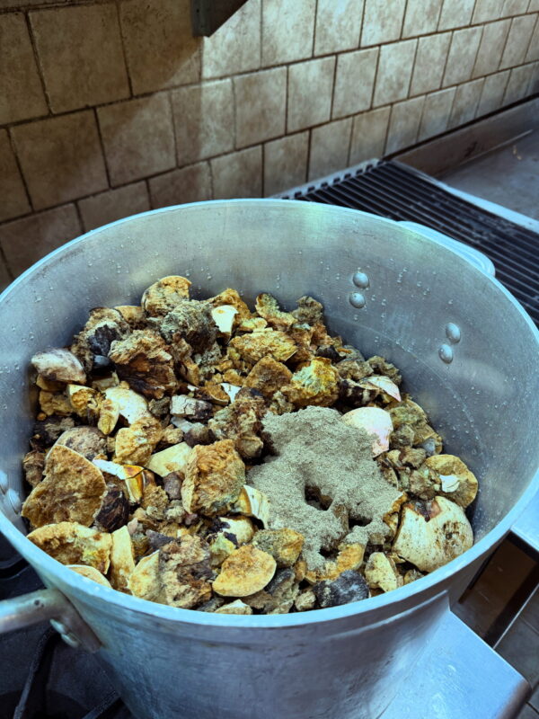 26B1F1AD-B1EE-4E66-917F-3A49B6D76B54 26B1F1AD-B1EE-4E66-917F-3A49B6D76B54