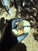 717766B7-99FF-45E8-B6BC-C084326825B3