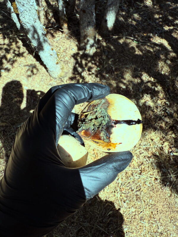 717766B7-99FF-45E8-B6BC-C084326825B3 717766B7-99FF-45E8-B6BC-C084326825B3