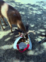 8C36D8B7-CF45-4768-89F6-14562EE2AC0A