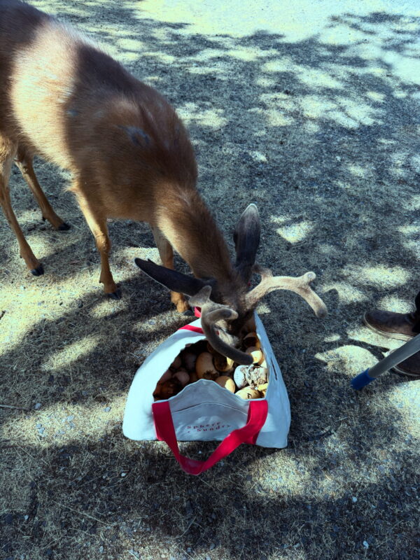 8C36D8B7-CF45-4768-89F6-14562EE2AC0A 8C36D8B7-CF45-4768-89F6-14562EE2AC0A