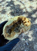 A55AFC01-76A9-4875-82CA-349A9C75CDC8