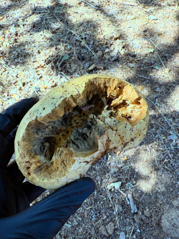 A55AFC01-76A9-4875-82CA-349A9C75CDC8 A55AFC01-76A9-4875-82CA-349A9C75CDC8