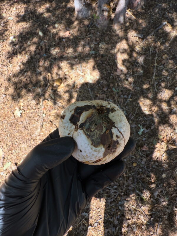 F09FAB80-9776-4F88-BFA6-AE2844E40CB9