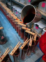 FE5FDF6F-E12B-4AD0-9648-AC134AE60315