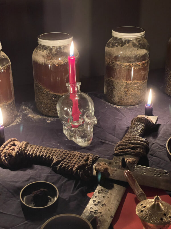 Ferrum Noctis Mars in Capricorn Talismanic Materia Altar Skull