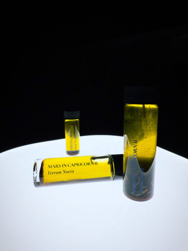 Ferrum Noctis Mars in Capricorn Talismanic Materia Anointing Oils 2
