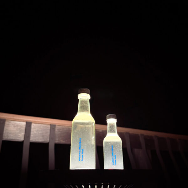 Ferrum Noctis Mars in Capricorn Talismanic Materia Kolonia 2